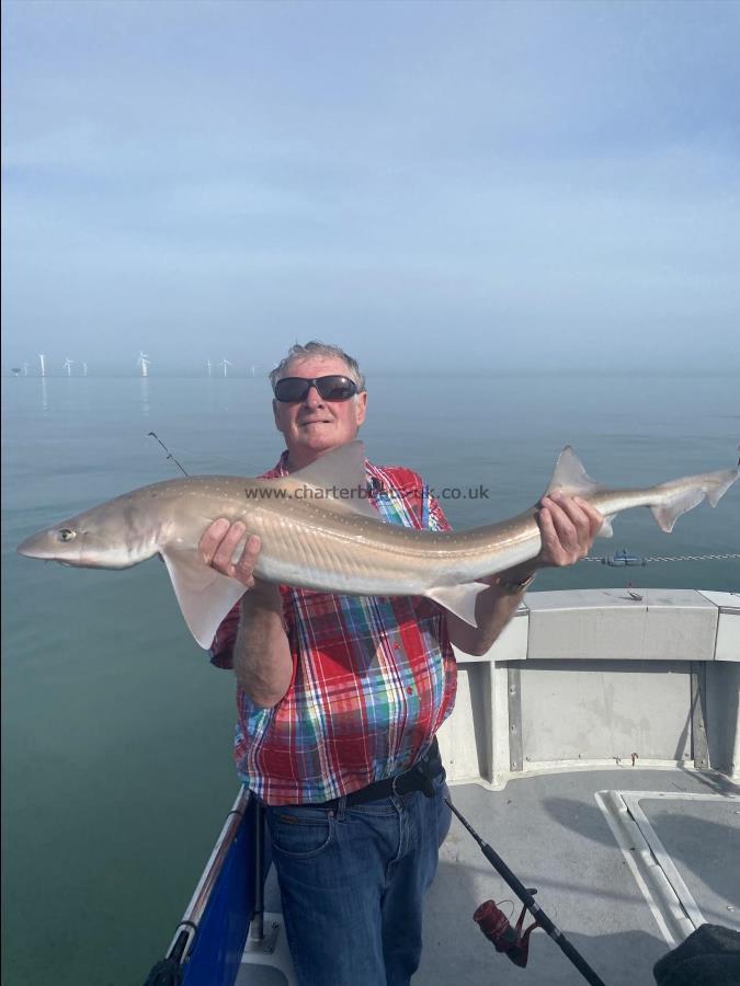 14 lb 4 oz Smooth-hound (Common) by Unknown