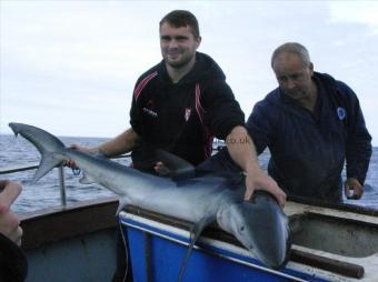70 lb Blue Shark by Shaun