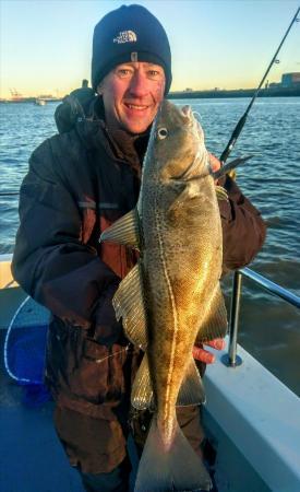 5 lb 7 oz Cod by Unknown