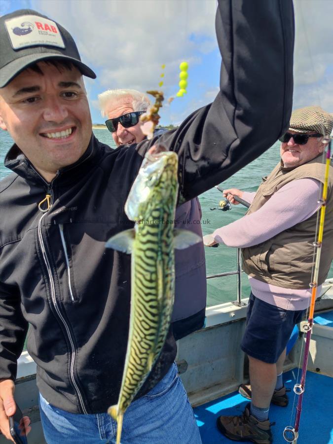 1 lb 4 oz Mackerel by Unknown