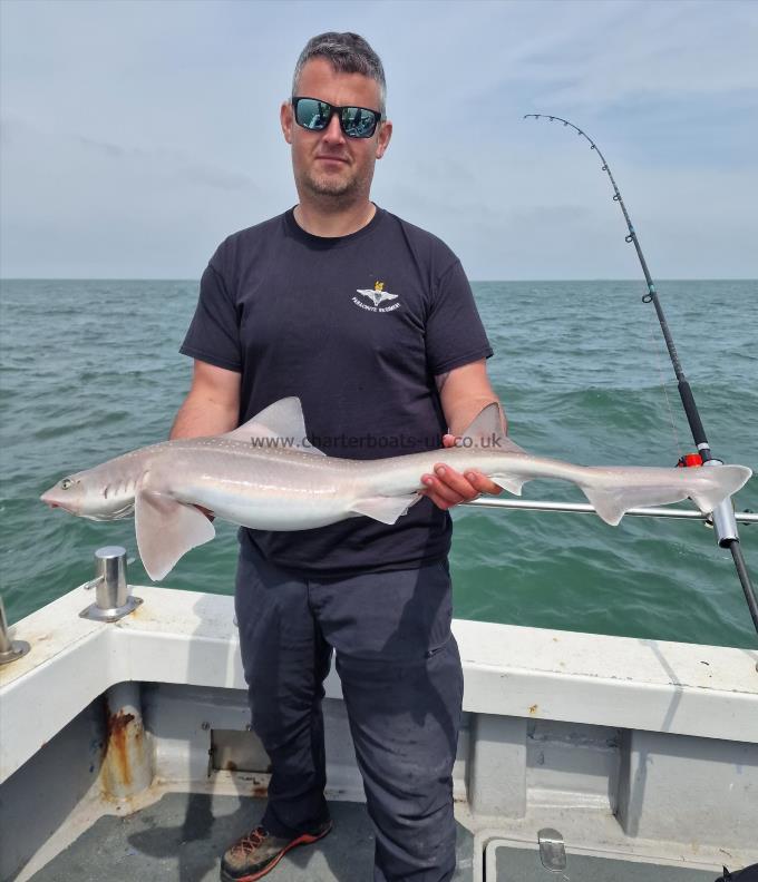 9 lb Starry Smooth-hound by Steve the tree