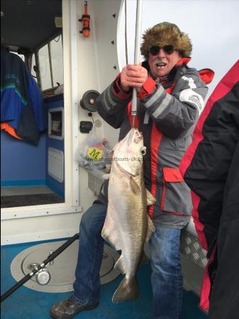 15 lb Pollock by Kevin McKie