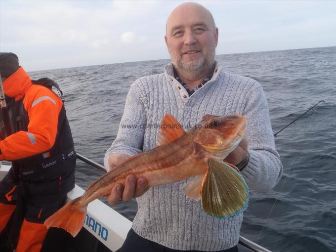 2 lb 14 oz Tub Gurnard by Unknown