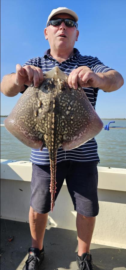 6 lb Thornback Ray by Mark