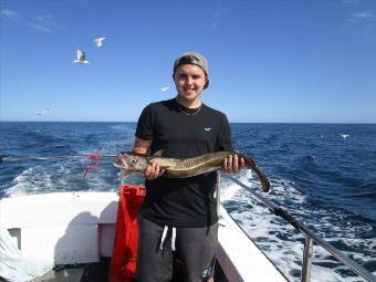 15 lb 4 oz Cod by Carl Farrar