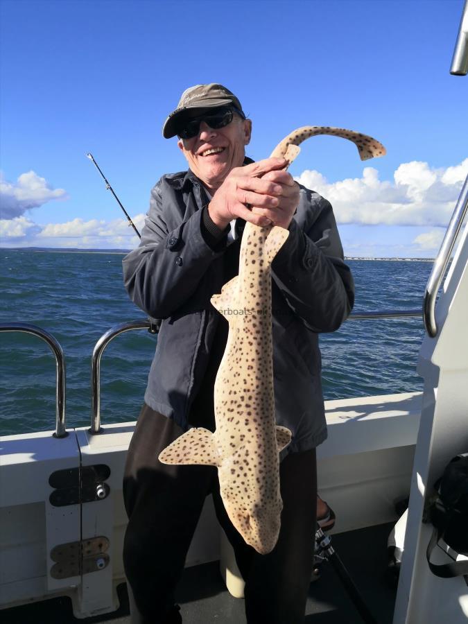 10 lb 8 oz Bull Huss by Brian