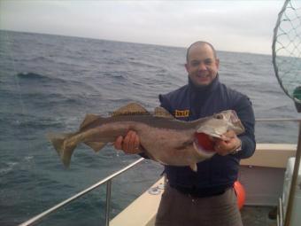 16 lb 8 oz Pollock by Reggie Gough