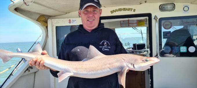 15 lb Smooth-hound (Common) by Alan