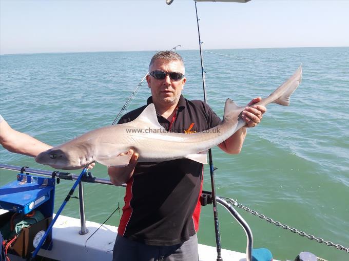 2 oz Smooth-hound by Unknown