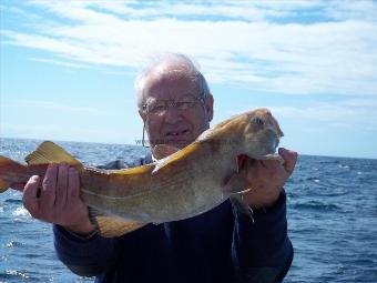 5 lb Cod by Unknown