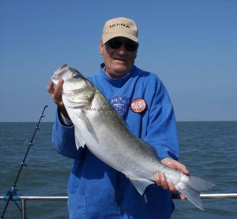 11 lb 8 oz Bass by Unknown