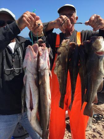 10 lb Ling by vitorio and erico with their fish 30/june 2015
