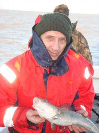 3 lb Cod by Paul Firth