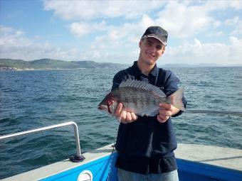 2 lb 10 oz Black Sea Bream by Unknown