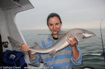 7 lb Starry Smooth-hound by Zuzana