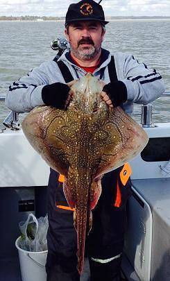 14 lb Undulate Ray by Roy