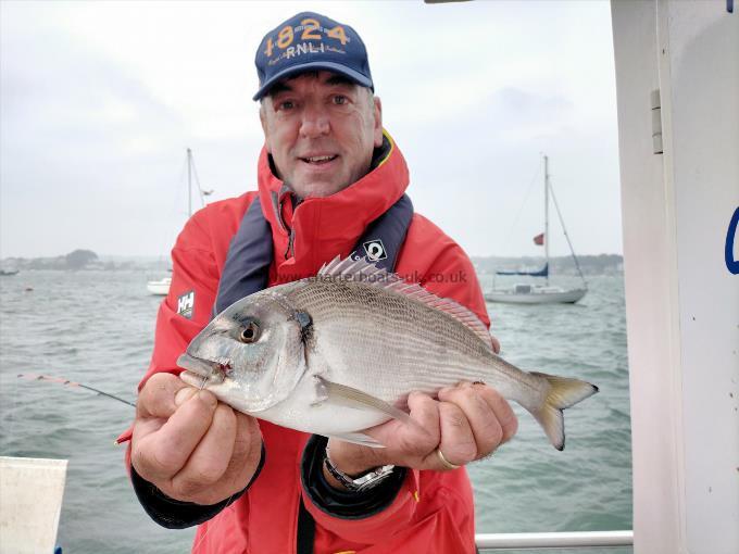 2 lb 5 oz Gilt-head Sea Bream by Kevin Patrick