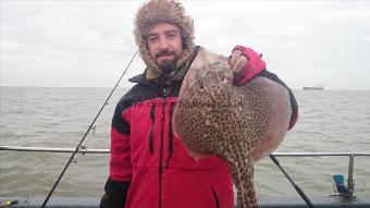6 lb 7 oz Thornback Ray by Adam from Kent
