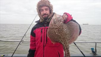 6 lb 7 oz Thornback Ray by Adam from Kent