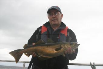 5 lb 8 oz Pollock by Malachy Mills