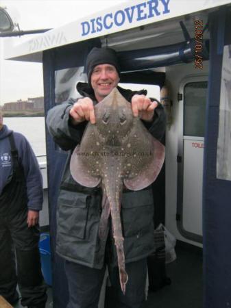 4 lb 9 oz Thornback Ray by Sweep