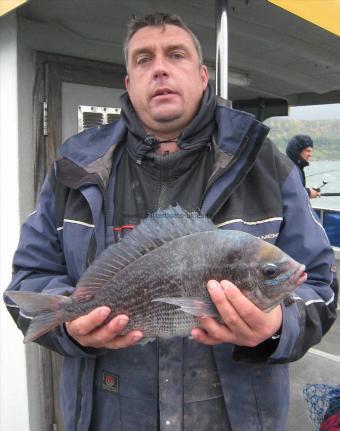 2 lb 12 oz Black Sea Bream by Adrian