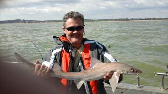 5 lb Starry Smooth-hound by Mark