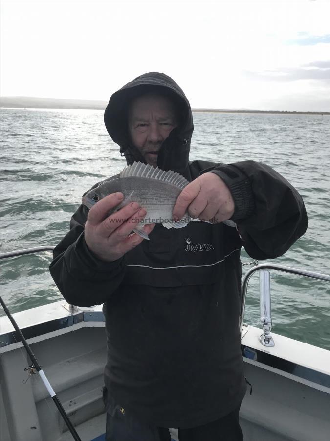1 lb Black Sea Bream by Keith with his 1st bream of 2023