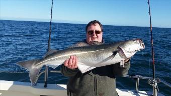 15 lb Coalfish (Coley/Saithe) by Unknown