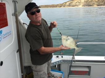 1 lb 3 oz Trigger Fish by allan with another Trigger