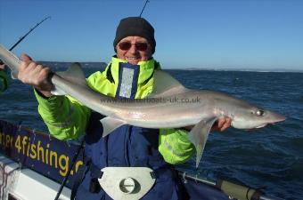 11 lb Smooth-hound (Common) by John Dransfield
