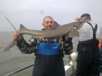 11 lb Smooth-hound by peter bowen