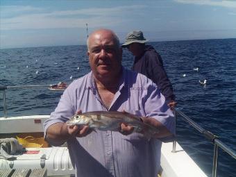 1 lb 2 oz Haddock by Andy