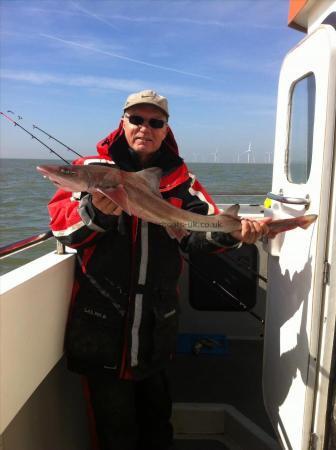 7 lb Smooth-hound (Common) by Keith