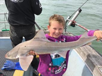 12 lb 8 oz Starry Smooth-hound by Oliver lucking