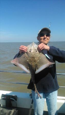 7 lb 8 oz Thornback Ray by sarah