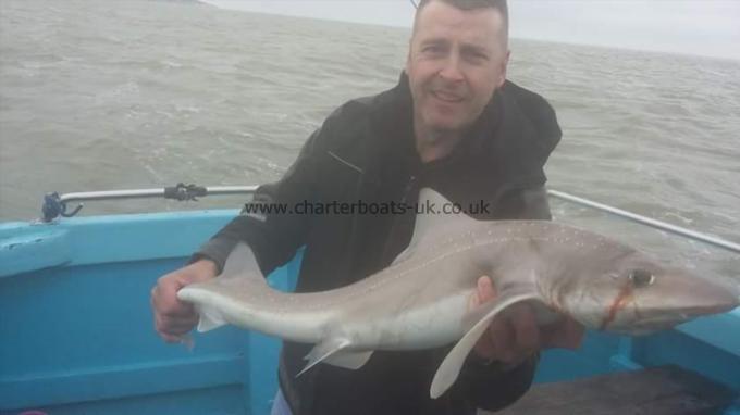12 lb Smooth-hound (Common) by Shawn party