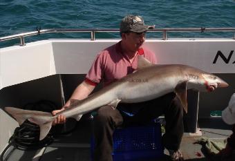 76 lb Tope by alan belbher