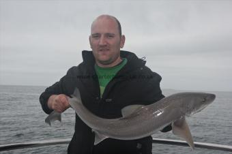12 lb Starry Smooth-hound by Ash