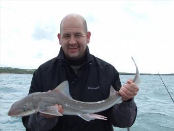 7 lb 6 oz Starry Smooth-hound by Unknown