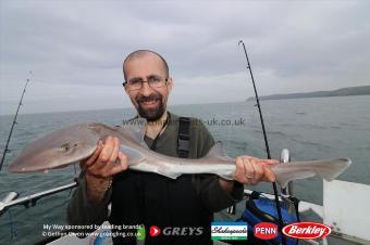 6 lb Starry Smooth-hound by Jose