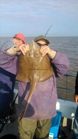 10 lb Blonde Ray by arthur