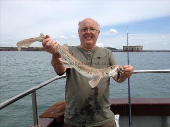 3 lb Lesser Spotted Dogfish by Phil Haverfordwest