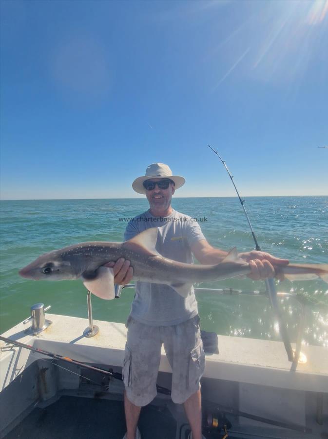 7 lb Smooth-hound (Common) by Unknown