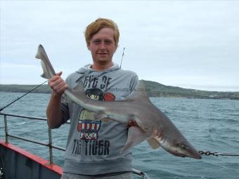 13 lb Smooth-hound (Common) by Unknown