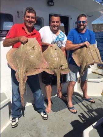 21 lb Blonde Ray by Ian