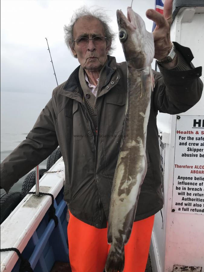 7 lb Ling by Adrian from hull