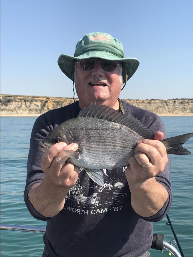 2 lb Black Sea Bream by Phil