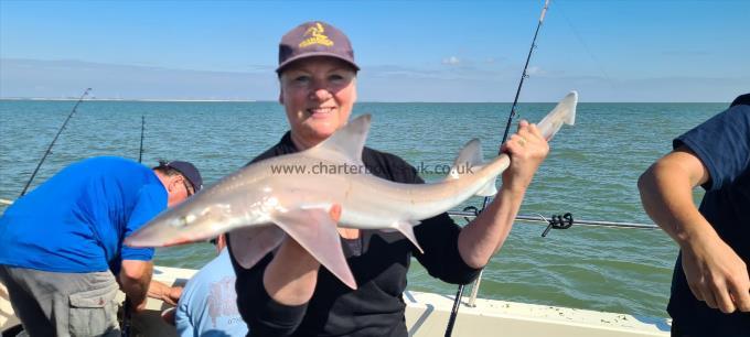 8 lb Starry Smooth-hound by Suzie