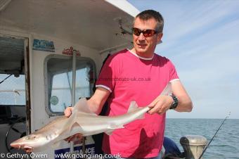 5 lb Starry Smooth-hound by Daz